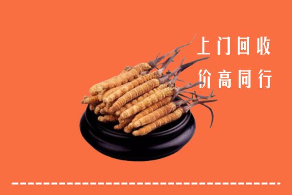 高价求购：睢宁县回收散虫草