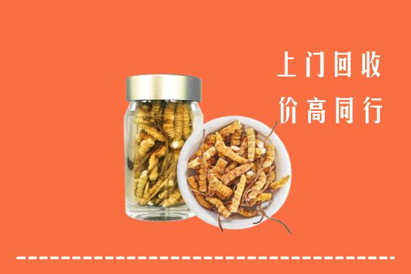 睢宁县回收冬虫夏草
